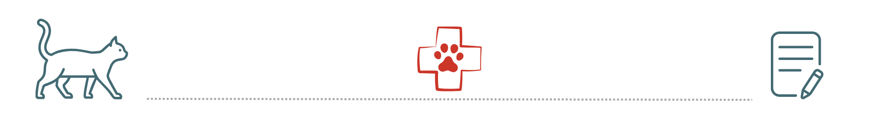 healthy dog receiving care from Happy Paws House Calls in Morristown NJ with pet insurance support