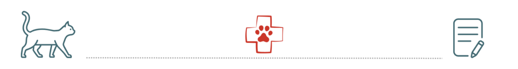 Cat icon on the left, medical cross in the center, document with pen icon on the right, connected by a line.