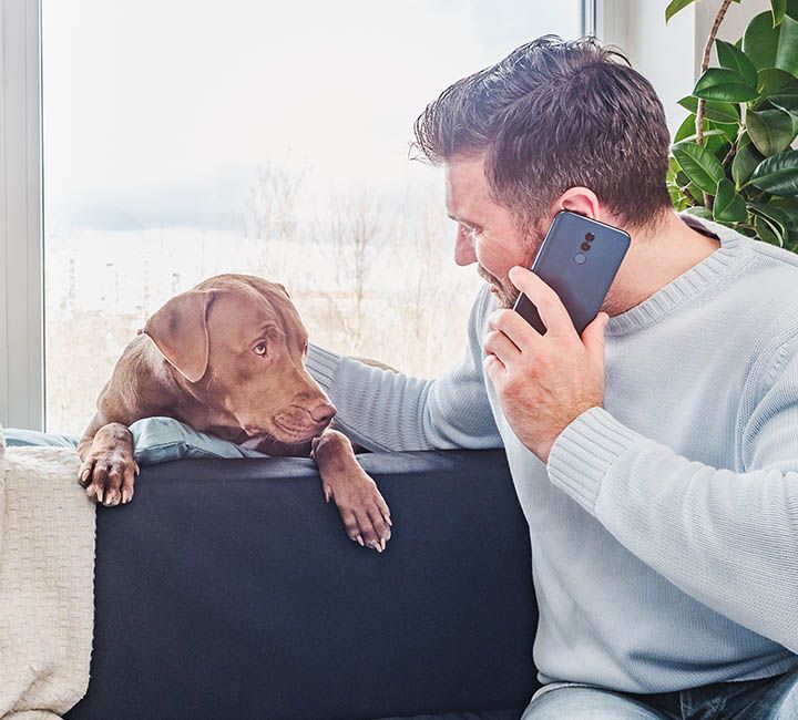 A man talks on the phone while gently petting a brown dog sitting beside him on a couch.