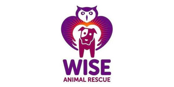 Purple owl forming a heart shape around a dog with "WISE Animal Rescue" text below.