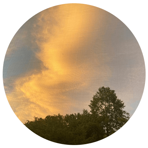 Orange clouds at sunset with silhouette of tree in foreground.